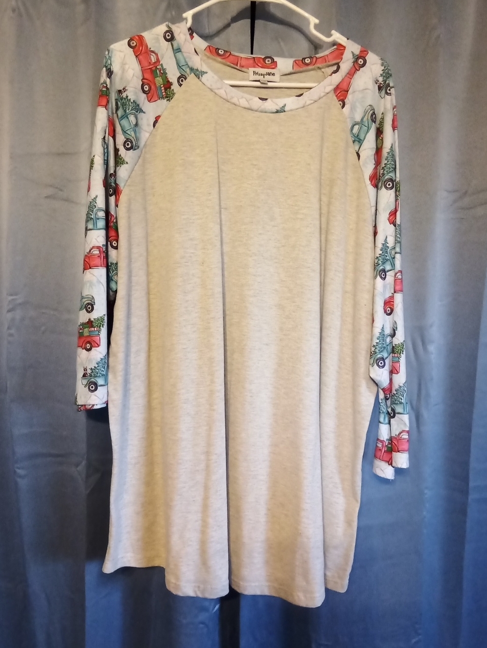 Neutral Raglan Tunic with Festive Red Truck Sleeves
